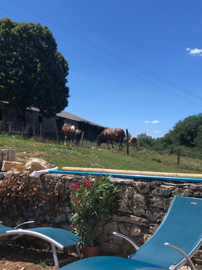 La Ferme De La Truffe Chambres D Hotes Cuzance Dış mekan fotoğraf